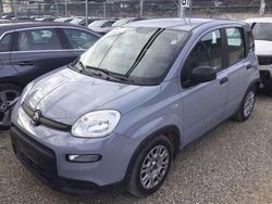 Moda pastello Usata 2023 Fiat Panda Due volumi | 10.600 € (Buon prezzo)
