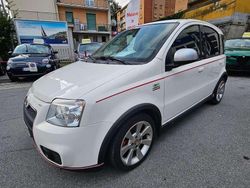 Bianco Usata 2010 Fiat Panda Due volumi | 7900 € (Cara)