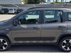 Grigio Usata 2020 Fiat Panda Cross Cross Due volumi | 12.000 € (Buon prezzo)