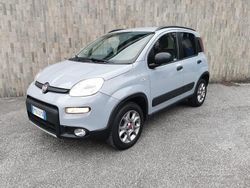 Grigio Usata 2018 Fiat Panda 4x4 Due volumi | 11.990 €