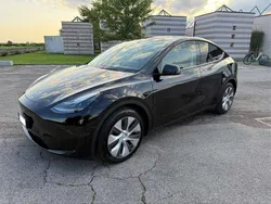Nero Usata 2024 Tesla Model Y Standard Range SUV | 35.500 € (Super prezzo)