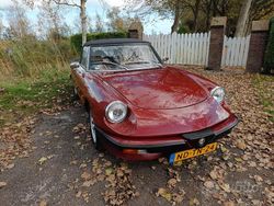 Rosso Usata 1983 Alfa Romeo Spider Cabrio | 14.900 €