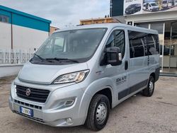 Grigio Usata 2017 Fiat Ducato Furgone | 18.000 € (Cara)