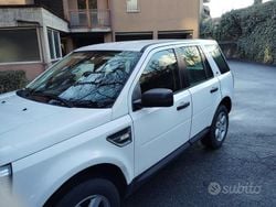 Bianco Usata 2014 Land Rover Freelander 2 SUV | 4800 € (Ottimo prezzo)