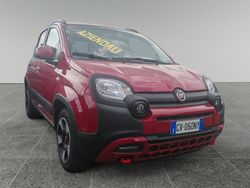 Rosso Usata 2024 Fiat Panda Cross Cross Due volumi | 14.490 € (Buon prezzo)