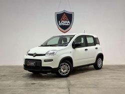 Bianco gelato pastello Usata 2023 Fiat Panda Due volumi | 10.840 € (Buon prezzo)