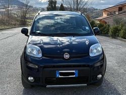 Blu Usata 2013 Fiat Panda 4x4 Due volumi | 9500 € (Buon prezzo)
