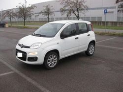 Bianco Usata 2018 Fiat Panda Easy Due volumi | 8900 € (Buon prezzo)