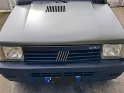 Usata 1991 Fiat Panda 4x4 Trekking Due volumi | 8000 €