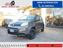 Grigio Usata 2022 Fiat Panda 4x4 Wild Due volumi | 15.900 € (Buon prezzo)
