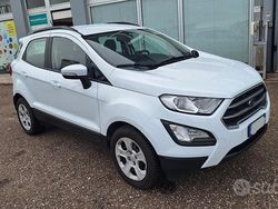 Bianco Usata 2020 Ford Ecosport Business Edition SUV | 11.900 € (Buon prezzo)