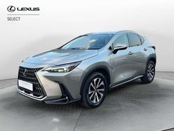 Grigio Usata 2023 Lexus NX300 SUV | 42.500 €