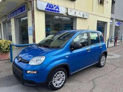 Blu/azzurro Usata 2024 Fiat Panda S Due volumi | 14.000 € (Cara)