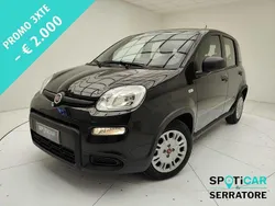 Nero Usata 2023 Fiat Panda S Due volumi | 12.500 € (Buon prezzo)