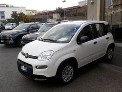 Vari colori metallizzato Usata 2024 Fiat Panda S Due volumi | 11.400 € (Ottimo prezzo)