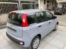 Grigio Usata 2018 Fiat Panda Easy Due volumi | 7000 € (Buon prezzo)
