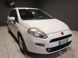 Bianco Usata 2014 Fiat Punto Due volumi | 4600 € (Ottimo prezzo)