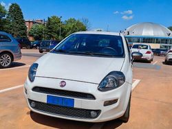 Bianco Usata 2014 Fiat Punto Young Due volumi | 3200 € (Super prezzo)
