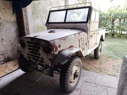 Bianco Usata 1964 Alfa Romeo Matta SUV | 7300 €