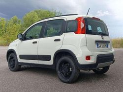 Bianco Usata 2020 Fiat Panda 4x4 S Due volumi | 9999 € (Ottimo prezzo)