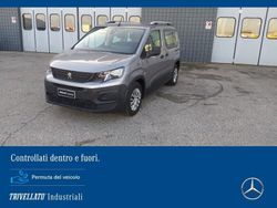 Grigio Usata 2019 Peugeot Rifter Active Monovolume | 20.740 € (Molto cara)
