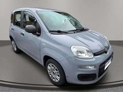 Grigio Usata 2021 Fiat Panda Easy Due volumi | 9500 € (Buon prezzo)