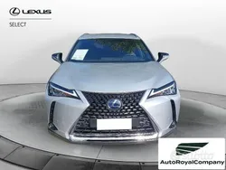 Grigio Usata 2019 Lexus UX Executive Line SUV | 19.900 € (Buon prezzo)