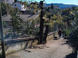 Grigio Usata 2018 Ford Ecosport SUV | 12.000 € (Buon prezzo)