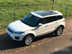 Bianco Usata 2016 Land Rover Range Rover evoque SE Dynamic SUV | 16.900 € (Molto cara)
