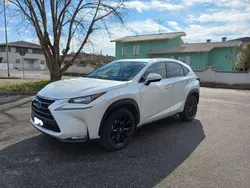 Bianco perlato Usata 2017 Lexus NX300h Luxury Line SUV | 20.900 € (Buon prezzo)