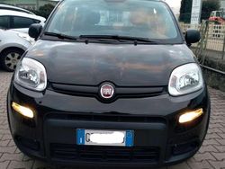 Nero Usata 2023 Fiat Panda Due volumi | 10.900 € (Buon prezzo)