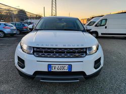 Bianco Usata 2014 Land Rover Range Rover evoque Pure Station wagon | 13.900 € (Super prezzo)