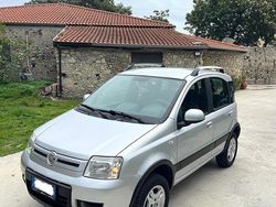 Grigio Usata 2010 Fiat Panda 4x4 Climbing Due volumi | 6990 € (Cara)