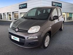 Grigio Usata 2019 Fiat Panda Easy Due volumi | 9900 € (Buon prezzo)