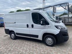 Bianco Usata 2020 Fiat Ducato Furgone | 17.000 € (Buon prezzo)