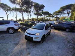 Bianco Usata 2022 Fiat Panda City Life Due volumi | 9700 € (Ottimo prezzo)