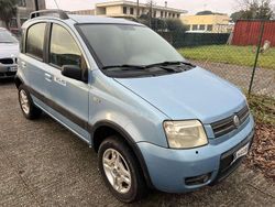 Blu/azzurro Usata 2004 Fiat Panda 4x4 Climbing Due volumi | 1500 € (Super prezzo)