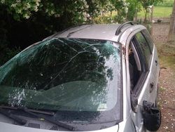 Grigio Usata 2001 Ford Focus Due volumi | 500 € (Super prezzo)