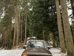 Marrone Usata 1989 Nissan Patrol SUV | 6500 €