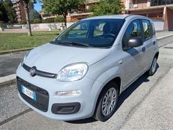 Usata 2020 Fiat Panda Launch Edition Due volumi | 9900 € (Buon prezzo)
