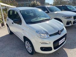 Bianco Usata 2020 Fiat Panda Easy Due volumi | 8800 € (Ottimo prezzo)