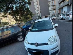 Bianco Usata 2013 Fiat Panda Due volumi | 5200 € (Ottimo prezzo)