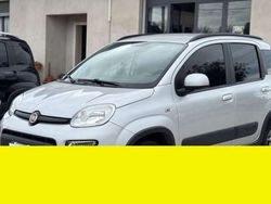 Other Usata 2017 Fiat Panda 4x4 Trekking Due volumi | 11.500 €