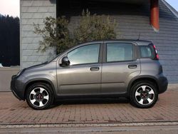 Grigio Usata 2023 Fiat Panda Cross Cross Due volumi | 16.500 € (Molto cara)