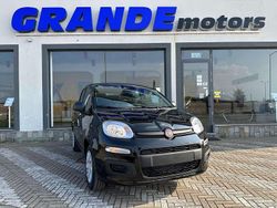Nero cinema Nuova 2025 Fiat Panda City Life Due volumi | 14.900 €