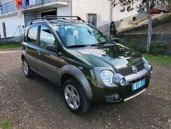 Verde Usata 2006 Fiat Panda 4x4 Cross Due volumi | 5500 € (Cara)