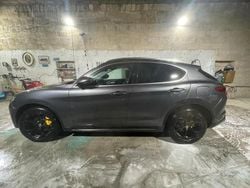 Grigio Usata 2018 Alfa Romeo Stelvio Executive SUV | 14.000 € (Ottimo prezzo)