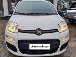 Bianco Usata 2021 Fiat Panda Due volumi | 9900 € (Buon prezzo)