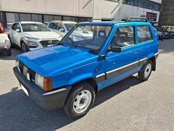 Blu/azzurro Usata 1994 Fiat Panda 4x4 Trekking Due volumi | 6900 €