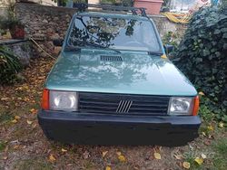 Verde Usata 2002 Fiat Panda Young Due volumi | 3000 €
